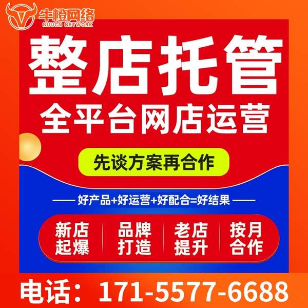 枝江电商代运营