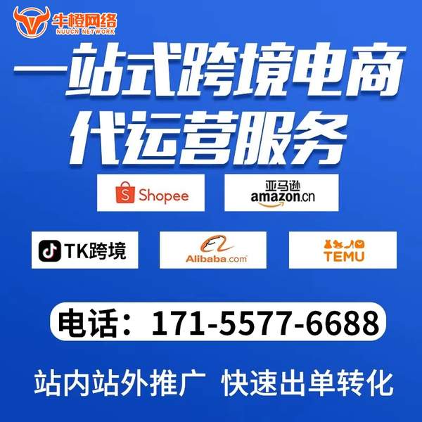 枝江电商代运营